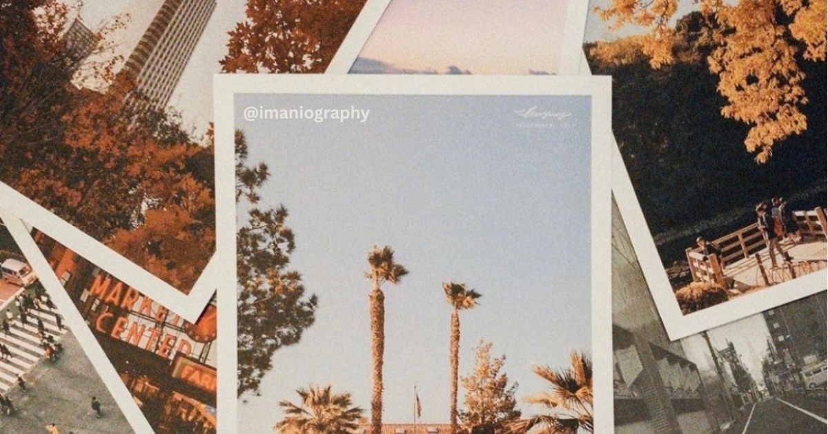 Why We Still Love the  Disposable Camera Look (and How to Get It with Your Phone)